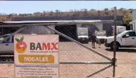 Inicia Banco de Alimentos campaña anual “Tu ayuda alimenta”