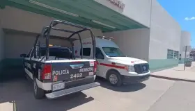 Atacan perros a mujer en La Mesa