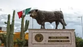 Asegura FGJE hay avances en homicidio de ganadero