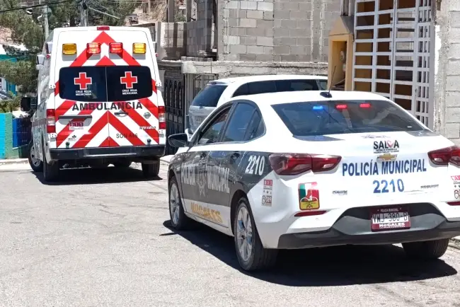 Muerde perro a una persona ‘junta botes’