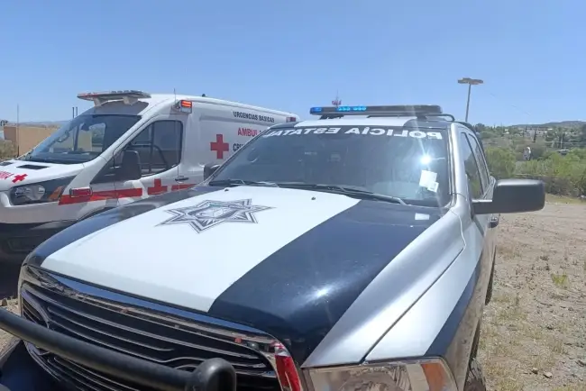 Lesionan a madre e hijo, fue su vecina junto con tres perros