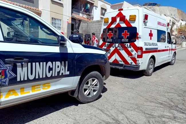 Agreden a dos a pedradas; hechos en distintos sectores