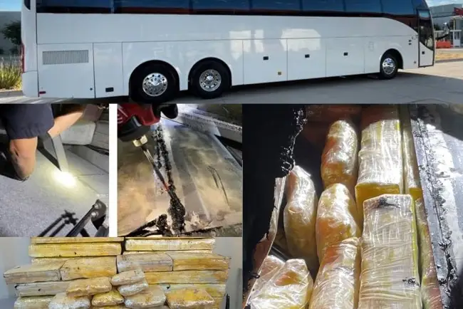 Logran decomiso de varios narcóticos en la frontera