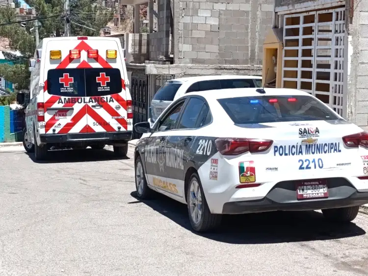 Muerde perro a una persona ‘junta botes’