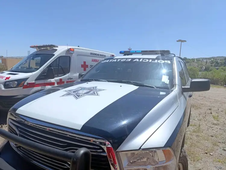 Lesionan a madre e hijo, fue su vecina junto con tres perros