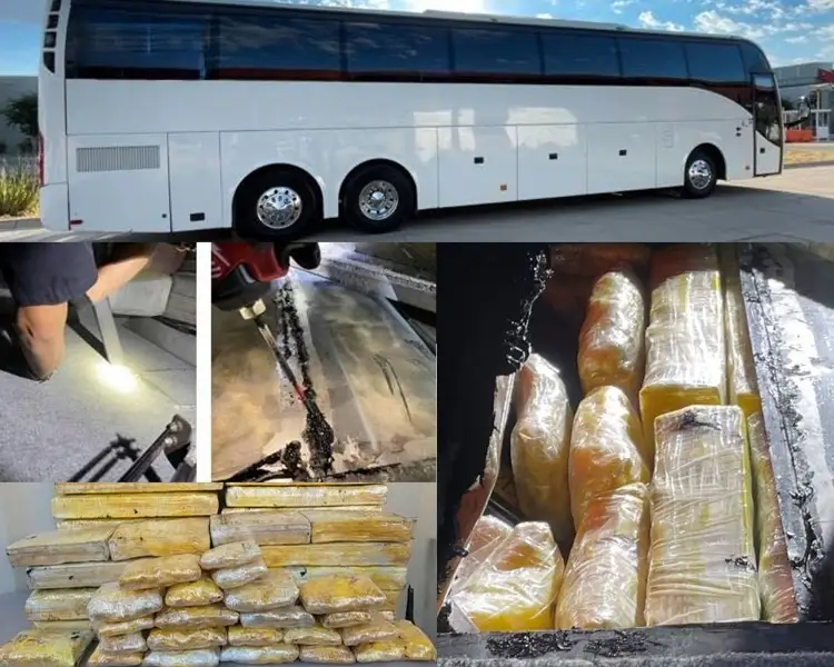 Logran decomiso de varios narcóticos en la frontera