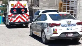 Muerde perro a una persona ‘junta botes’