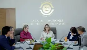 Preside Azalia Guevara Comisión de Energía, Medio Ambiente y Cambio Climático