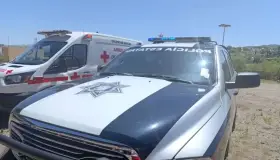 Lesionan a madre e hijo, fue su vecina junto con tres perros