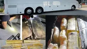 Logran decomiso de varios narcóticos en la frontera