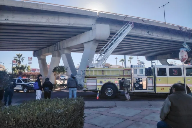 Gatito atrapado en puente El Greco de Nogales: Bomberos al rescate

