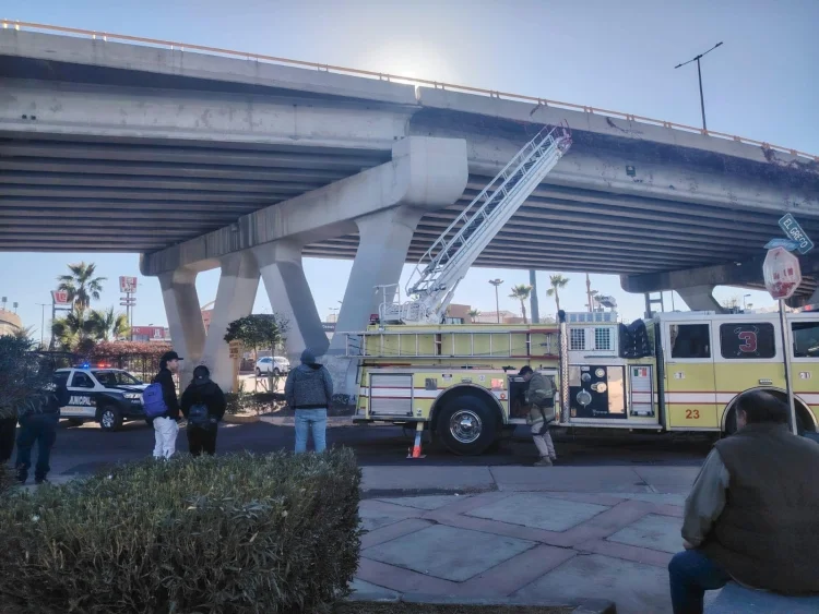 Gatito atrapado en puente El Greco de Nogales: Bomberos al rescate
