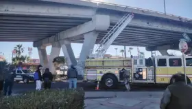 Gatito atrapado en puente El Greco de Nogales: Bomberos al rescate
