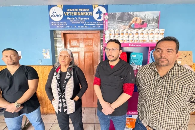 Se buscan veterinarios con experiencia en seguridad
