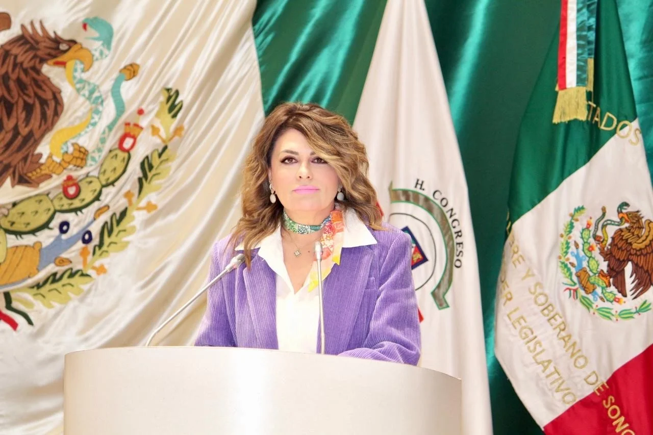 Propone diputada castigar el robo de agua con nuevo capítulo en el Código Penal