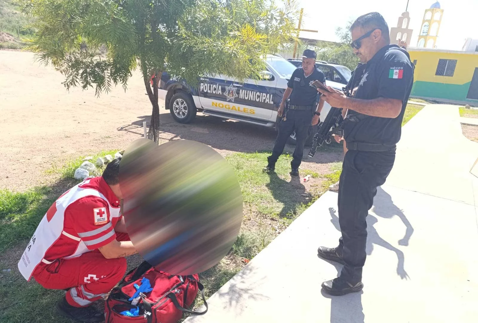 Ola de ataques de perros en Nogales deja cuatro lesionados en un día