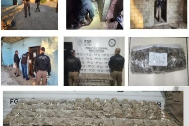 Mesa de Seguridad de Sonora detiene a  231 personas