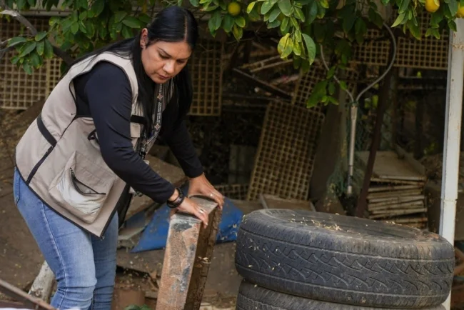 Llaman a reforzar prevención contra el dengue