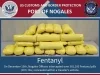 Decomisan 48 kilos de fentanilo ocultos en vehículo que cruzaba por Nogales