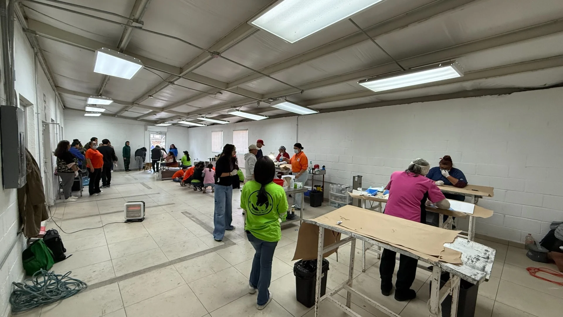 Realizan jornada masiva de esterilización en el FOPIN