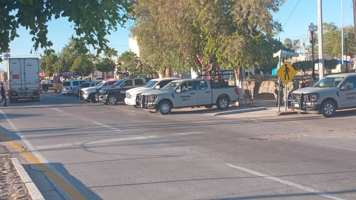 Concluye sin incidencias operativo interinstitucional en zona serrana de Sáric