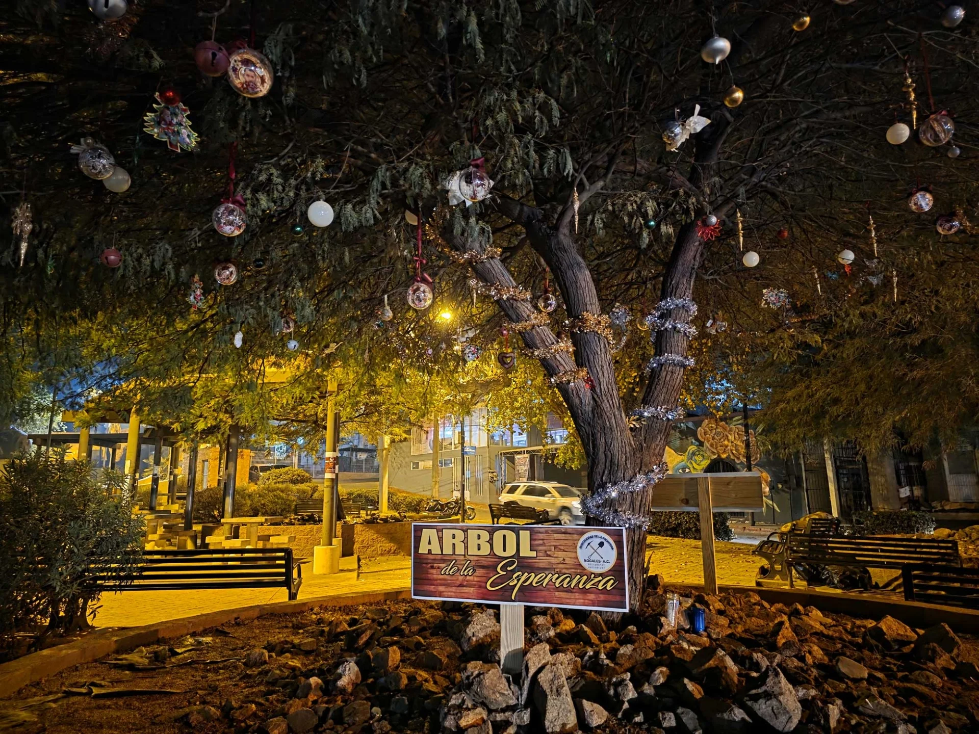 Árbol de la Esperanza recuerda a personas desaparecidas en plena Navidad