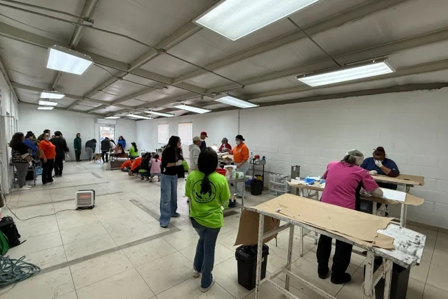 Realizan jornada masiva de esterilización en el FOPIN