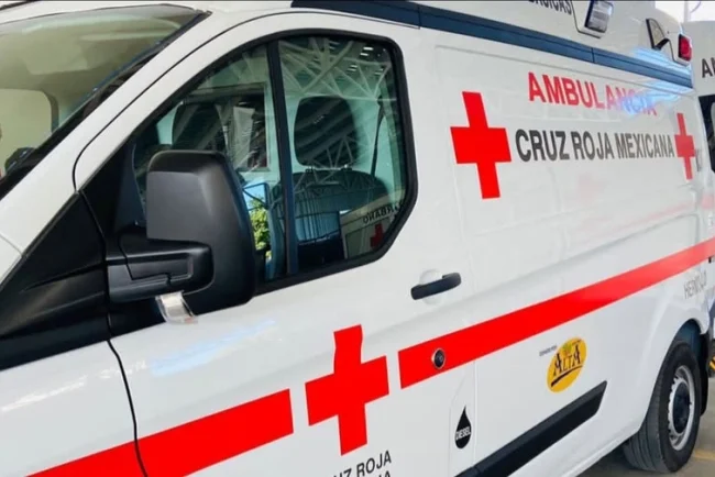 Crece el riesgo por ataque de perros callejeros en Nogales