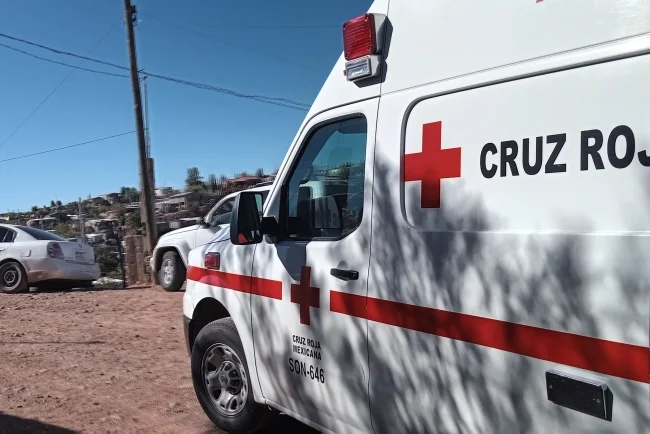 Nuevo ataque de perro deja lesionada a una mujer en la Luis Donaldo Colosio