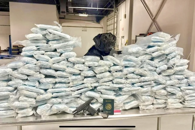 Cuatro decomisos en una semana revelan aumento en tráfico de drogas por Nogales, Arizona