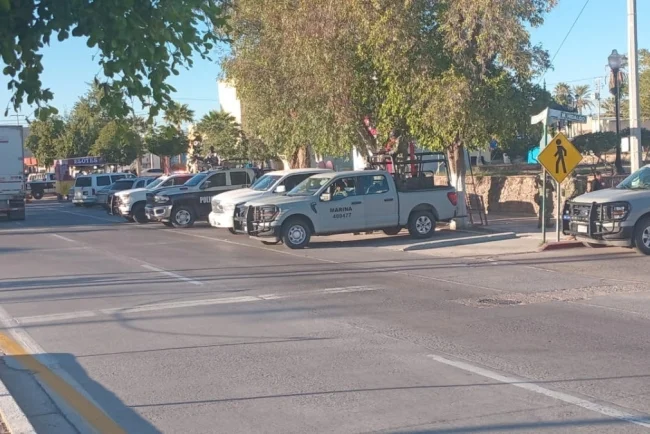 Concluye sin incidencias operativo interinstitucional en zona serrana de Sáric