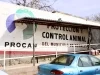 Refuerzan campañas de esterilización y vacunación antirrábica en Nogales
