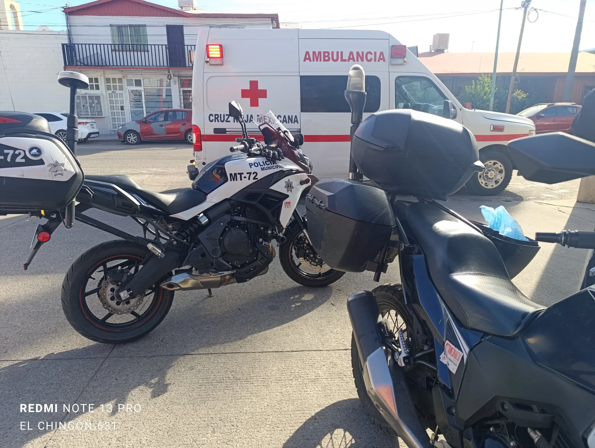 Ataque de perros provoca caída y lesión a mujer en Los Virreyes