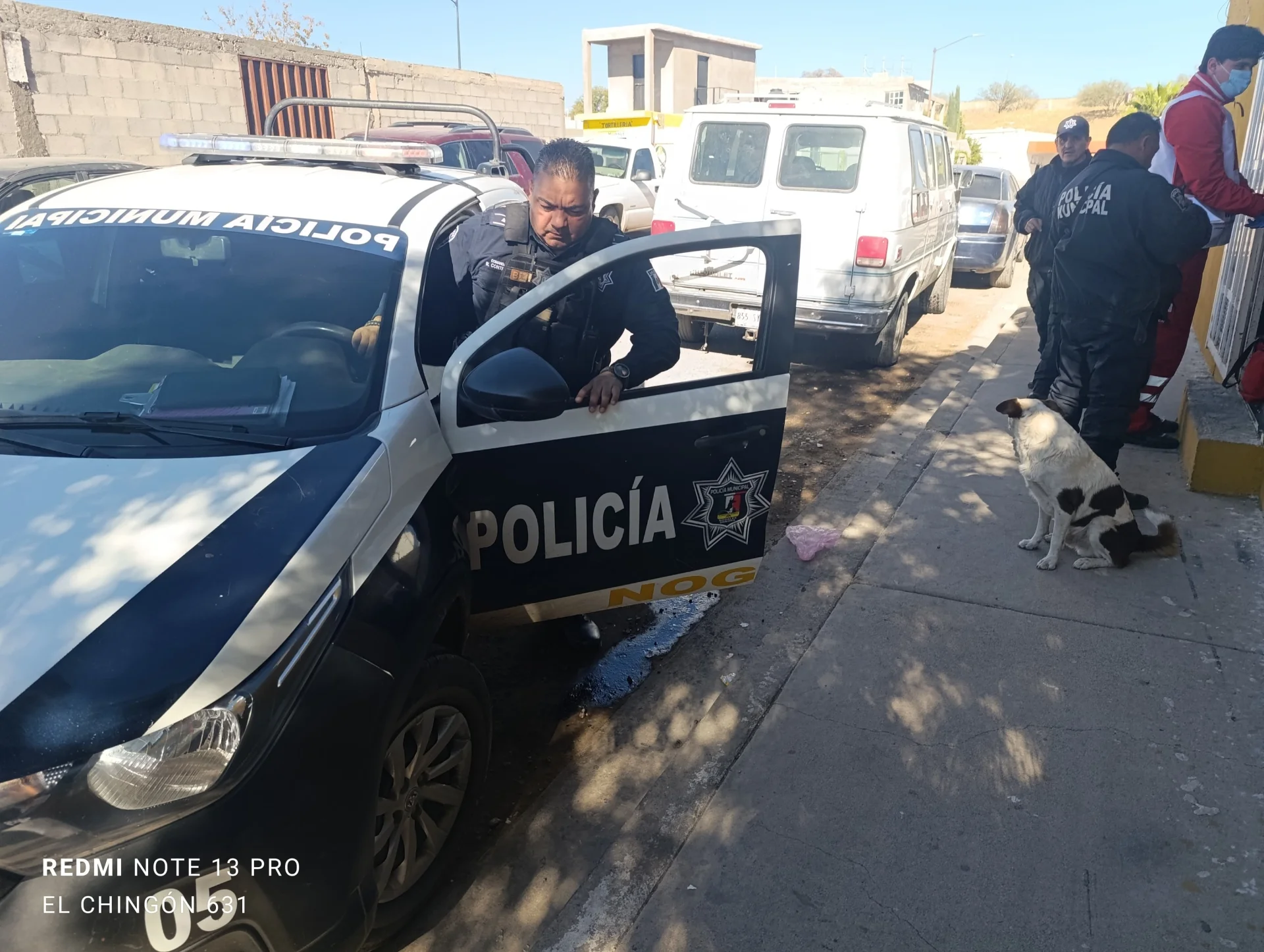 Adulto mayor resulta herido tras ataque de perro en la colonia Buenos Aires