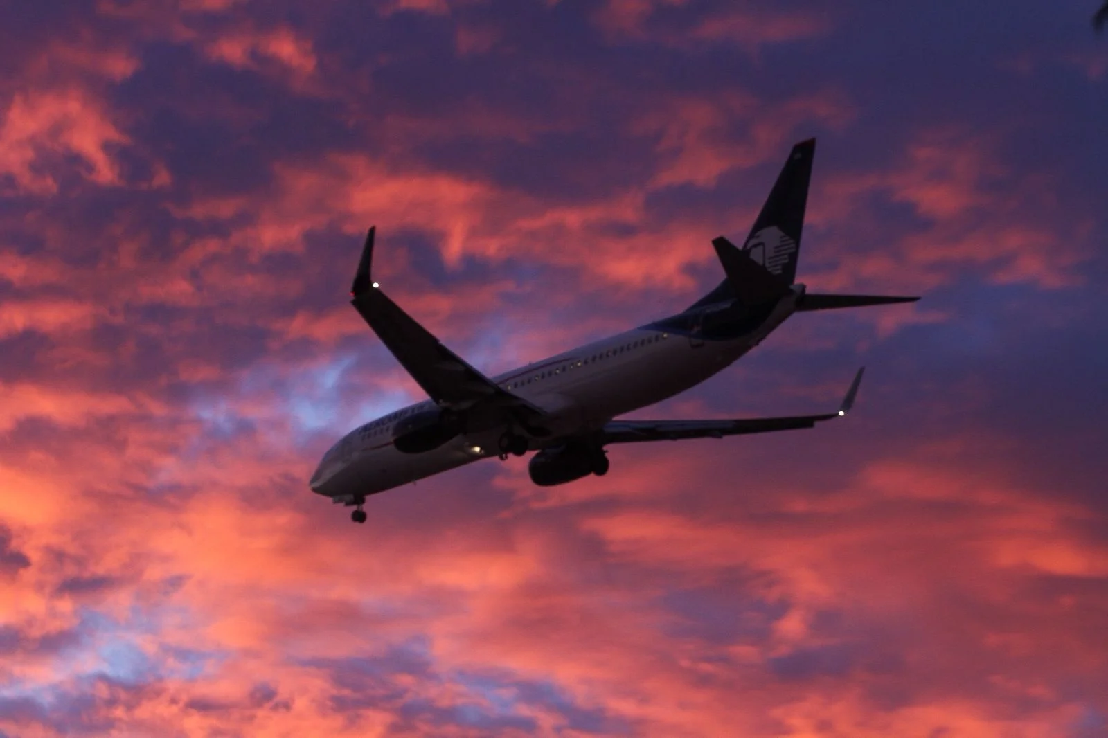 Sonora fortalece su conectividad aérea y aumenta 22.1% el flujo de pasajeros