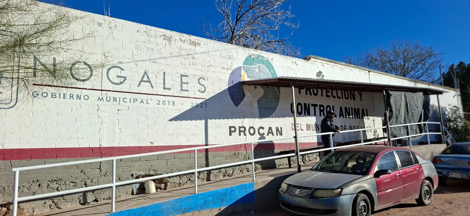 CABA alerta por alza en animales abandonados y pide conciencia ciudadana