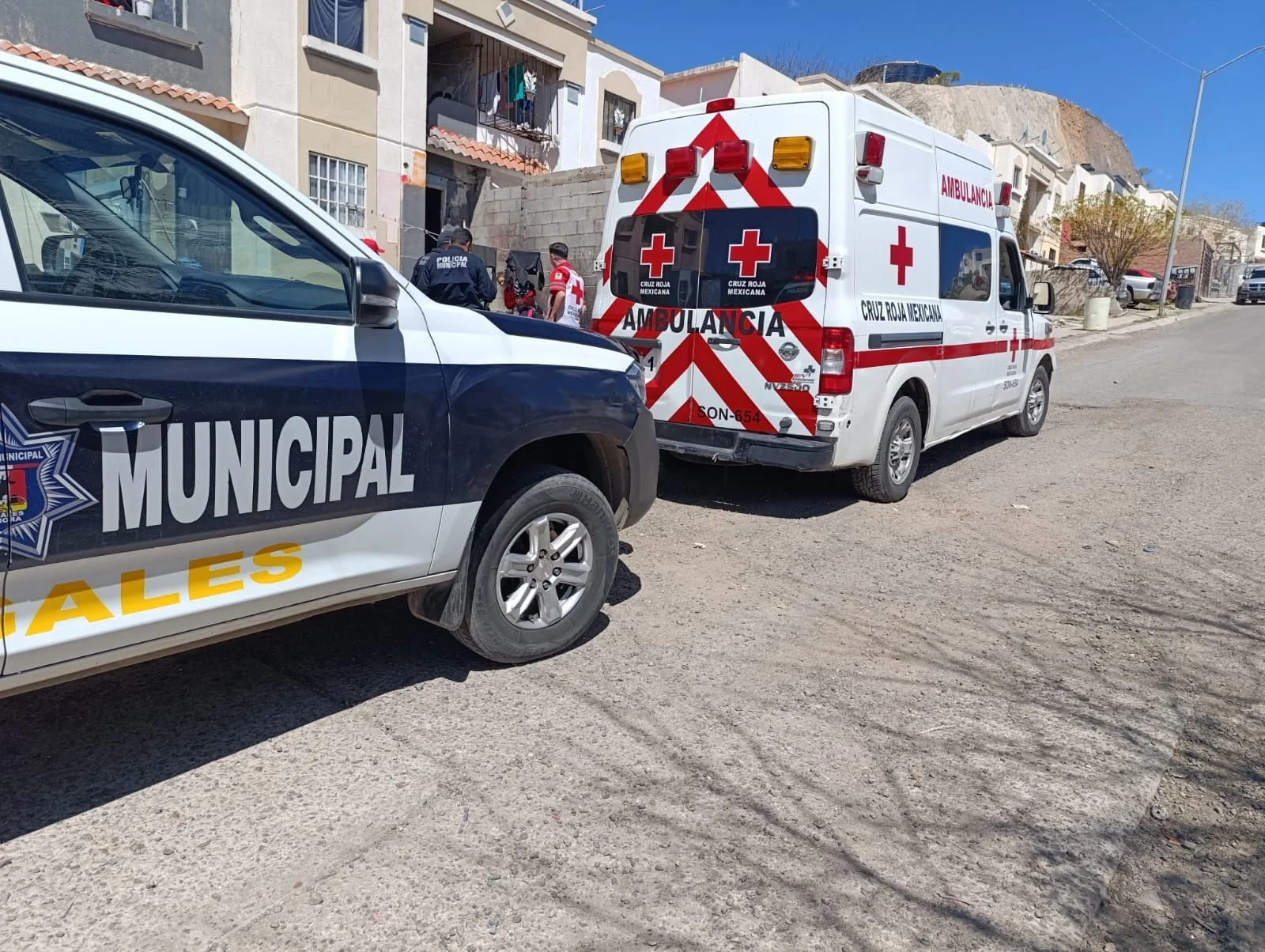 Reportan dos ataques caninos en Nogales; propietarios aceptan resguardo de los animales