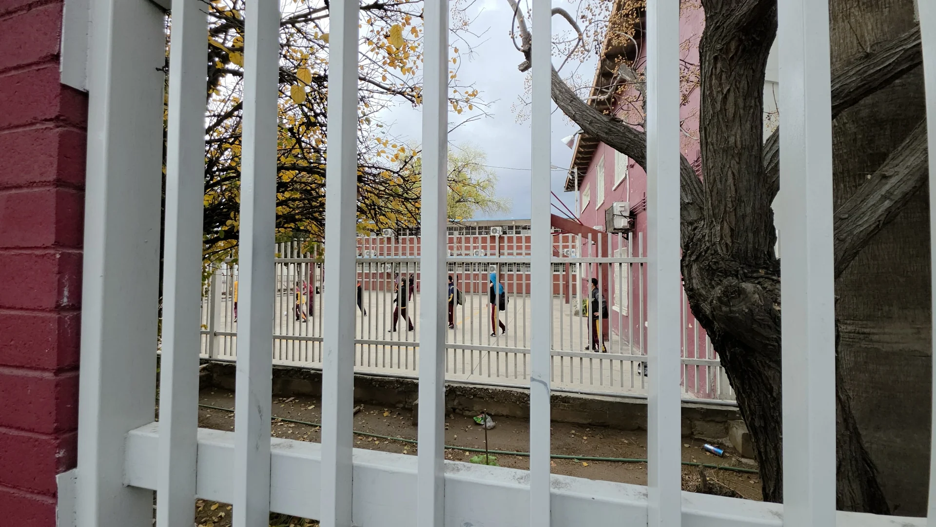 Fiscalía investiga intoxicaciones de adolescentes por cigarrillos electrónicos adulterados