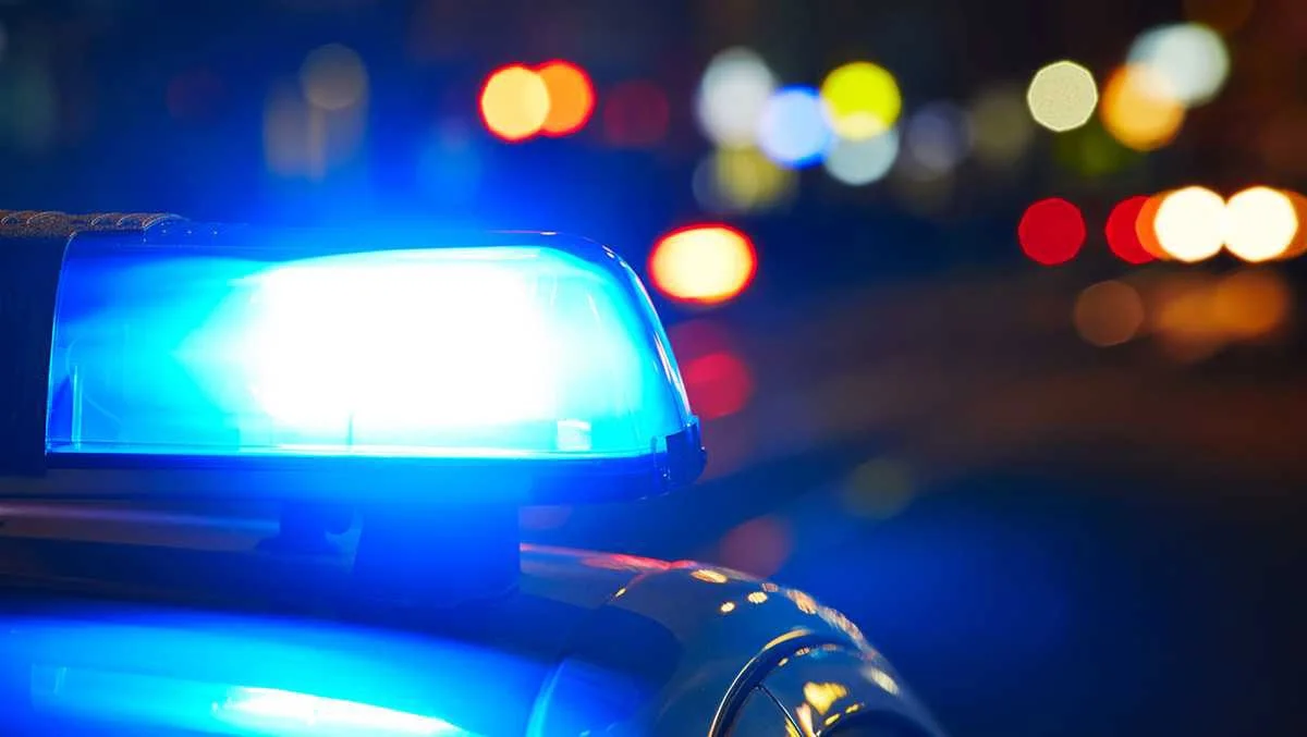 Alarma por ataques y maltrato animal en Nogales: reportan perros envenenados y adulta mayor lesionada