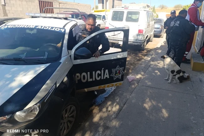 Adulto mayor resulta herido tras ataque de perro en la colonia Buenos Aires