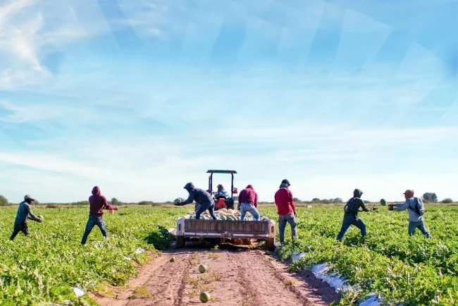 Sector rural de Sonora genera más de 81 mil millones de pesos en un ciclo