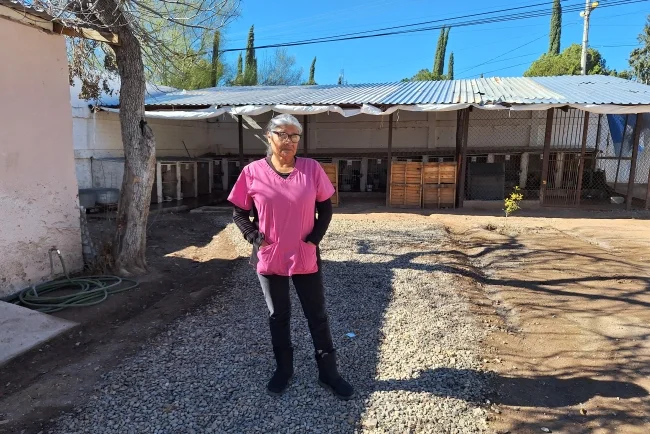 Crece riesgo por jaurías de perros callejeros en distintos sectores de la ciudad