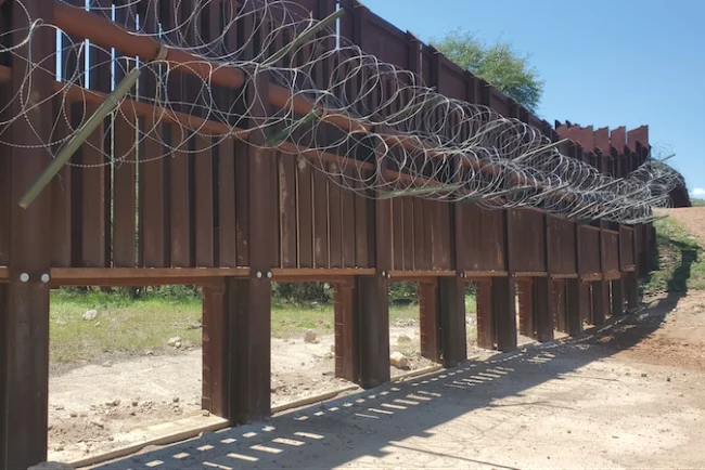 Muro fronterizo amenaza corredores naturales de fauna en la región Sonora-Arizona