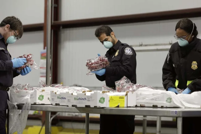 Alertan sobre alimentos y bebidas prohibidos al cruzar la frontera en Nogales