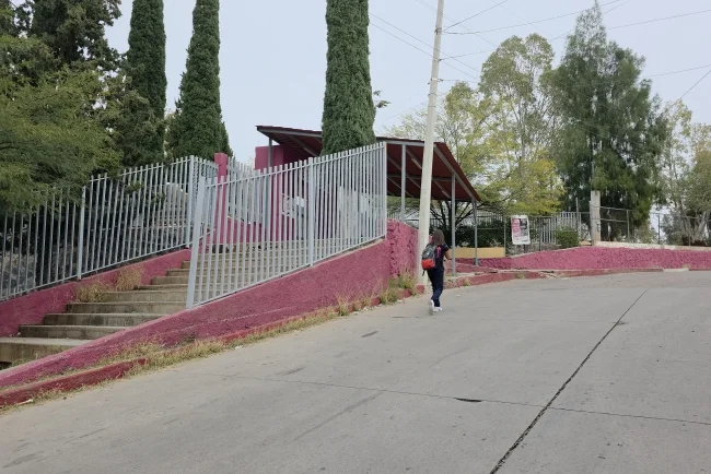 Exhorta Froylán Gámez a reforzar prevención y monitorear avisos escolares ante clima invernal