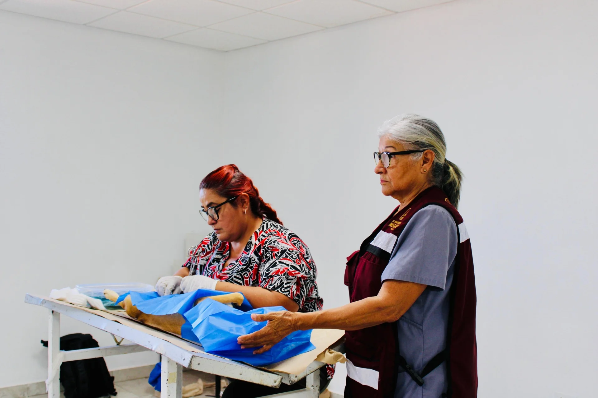 Buscan reducir fauna en vía pública con jornada gratuita para mascotas