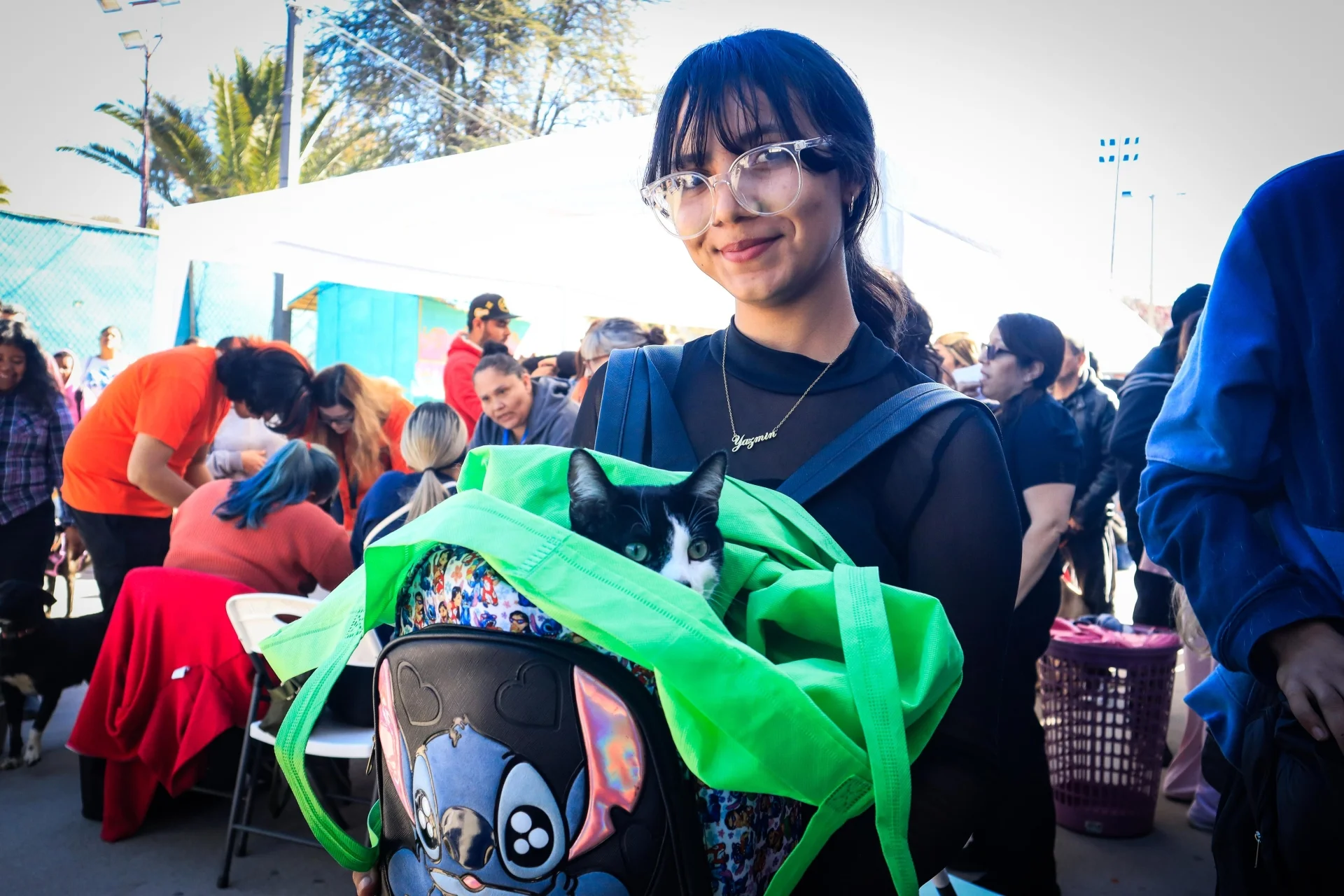 Supera expectativas campaña de esterilización impulsada por el Ayuntamiento