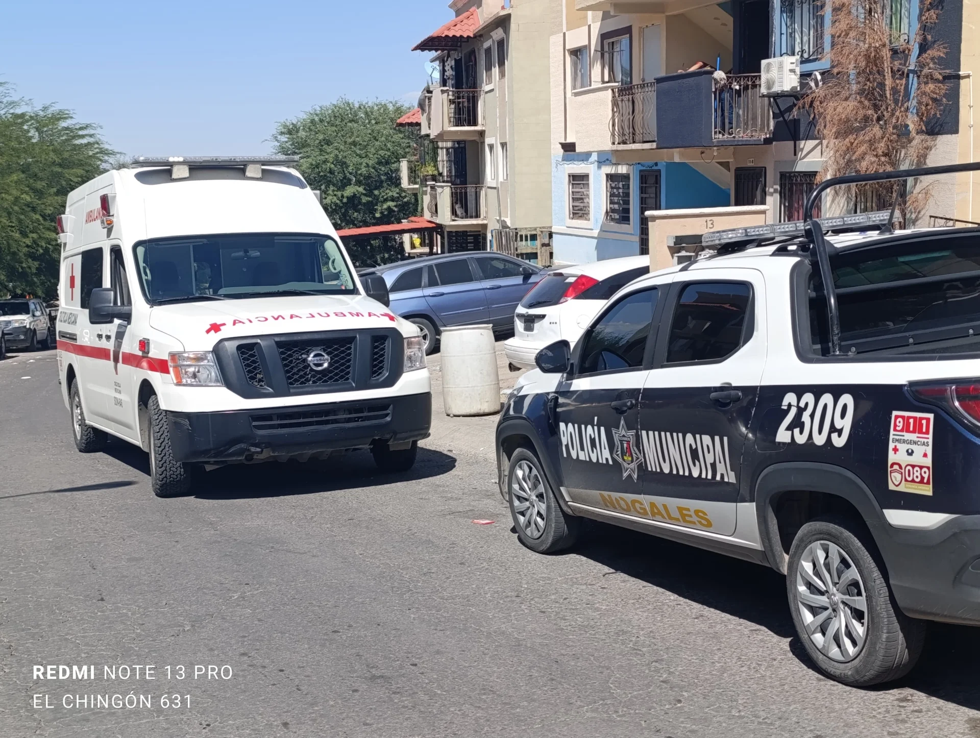 Reportan ataque de perro a menor en Nogales; madre descarta denuncia