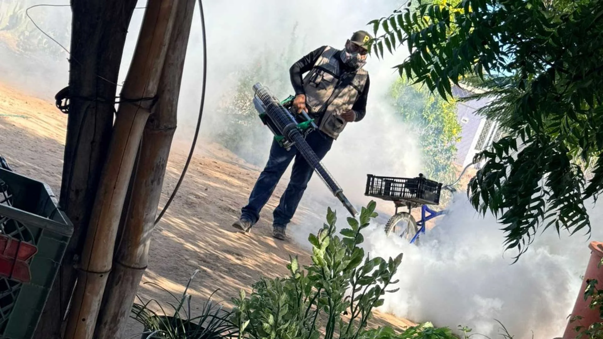 Refuerzan combate al mosquito en 25 municipios con mayor cobertura en diez años