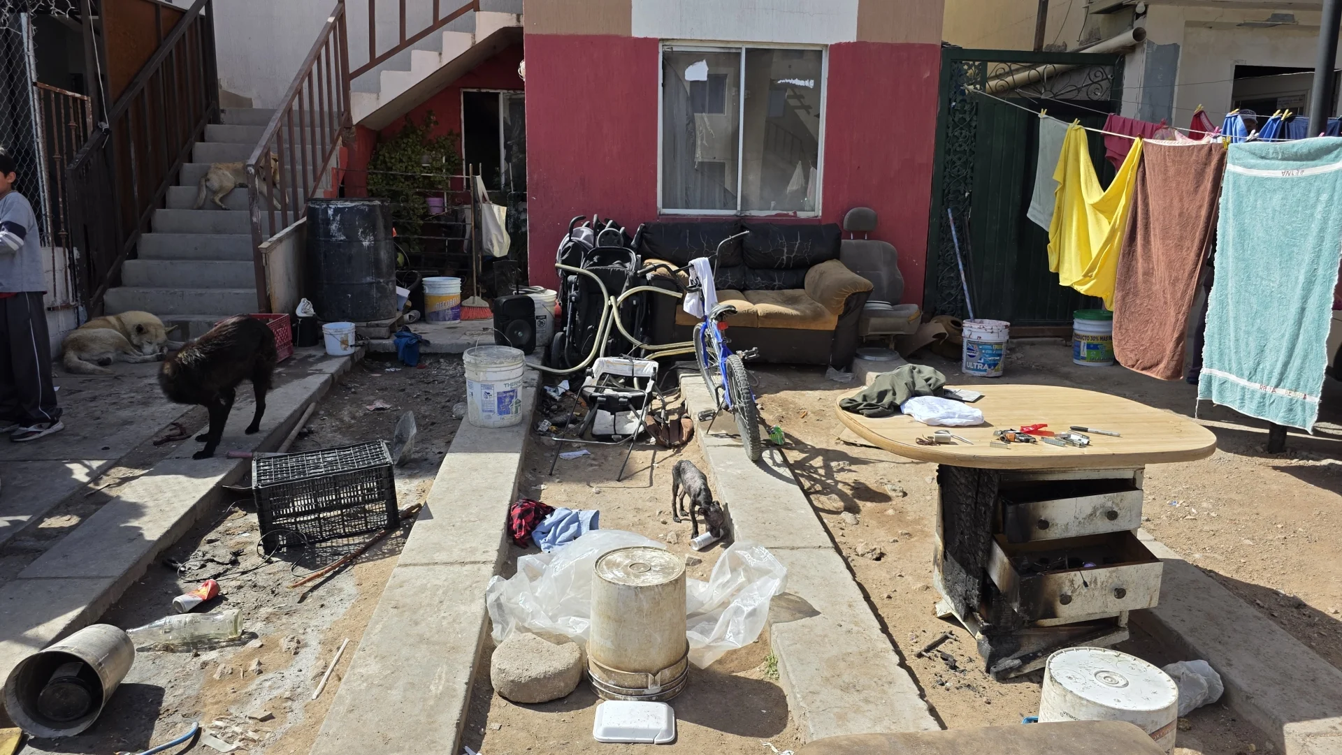 Llamas arrasan patrimonio de familia nogalense; piden ayuda solidaria